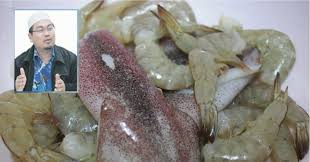 Bentuk kentos bulat, dan terletak di dalam daging buah kelapa. Penangkini Udang Sotong Dan Ketam Adalah Haram Untuk Dimakan Menurut Mazhab Hanafi