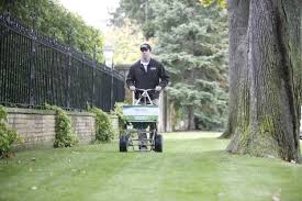 Without lime, lawn grasses may be unable to benefit from the nutrients in your soil, including those you add through fertilizers. Why You Should Lime Your Lawn In Spring