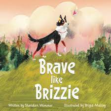 Brave Like Brizzie: Wimmer, Sheridan, Malloy, Brigid: 9780578853574:  Amazon.com: Books
