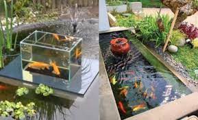 Berikut beberapa ilustrasi kolam ikan kaca outdoor yang bisa anda pegang sebagai panduan dalam berkreasi di rumah, kantor, apartemen dan lainnya. Minimalis 10 Ide Desain Kolam Ikan Koi Indoor Maupun Outdoor Dailysia