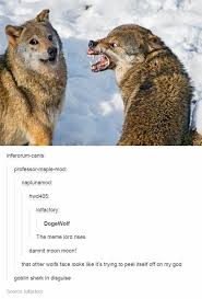 Such Moonmoon Very Wolf 2muchwow4um8 Meme By Itsamanatee Memedroid