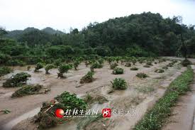 灵川九屋洪水最新情况 风雨桥已垮多辆私家车被冲走 图 桂林生活网新闻中心 country roads guilin road