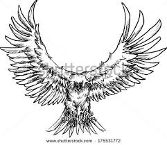 Animals For Raven Landing Drawing Eagle Drawing Drawings Eagle Pictures