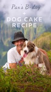 Best Dog Birthday Cake Recipe Dr Dobias Natural Healing Video Recipe Video In 2020 Dog Birthday Cake Recipe Dog Cake Recipes Dog Birthday Cake