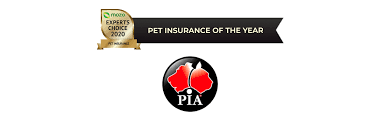 Maybe you would like to learn more about one of these? Paw Some News The Mozo Experts Choice Awards For Best Pet Insurance For 2020 Unveiled