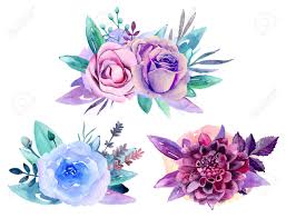 Click on image to view plant details. Purple Floral Bouquet Clip Art Blue Watercolor Flowers Arrangement Stock Photo Picture And Royalty Free Image Image 96670942