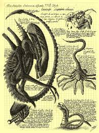 Pin On Alienworld