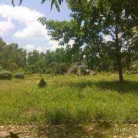 Mainly its for the children, but the speciality of the park is elders can accompany their children in various fun games. Eco Park Sunukpahari In Bankura Park Bankura