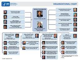Cdc's centers, institute, and offices (cios) allow the agency to be more responsive and effective cio organization org chart ( organizational chart). Cdc Organization Organizational Chart Organization Chart Org Chart