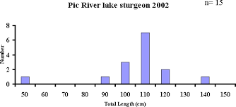 Omnr Lake Superior Lake Sturgeon Assessments