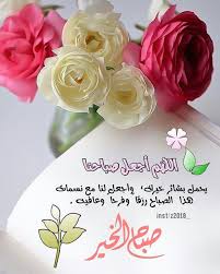 image may contain flower and text beautiful morning messages good morning photos good morning gif