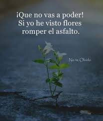 Encuentra docenas de frases de resiliencia con fotos para copiar y compartir. Celia Hil Talentosenior Sur Twitter Comenzamos Semana Con Un Mensaje De Resiliencia Para Tod S Los Que Tuvisteis Un 2019 Dificil Bienvenido 2020 Buenosdias Bondia Goodmorning Actitud Optimismo Frases