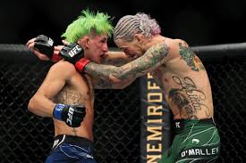 Listen, conor mcgregor is a competitor, white told mma junkie. Coybamx5csdepm