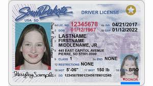 I was surprised by the type of fraud here. South Dakota Fake Id Best Scannable Fake Ids From Idgod