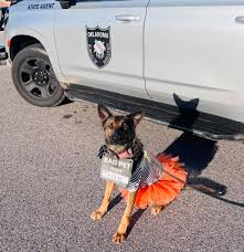 Oklahoma Bureau of Narcotics