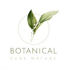 Botanical Pure Nature Logo Vector Premium Image By Rawpixel Com Busbus Natural Logo Nature Logo Design Cosmetic Logo