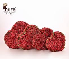 Roseva Chocolate Cikolata Chocolate Kirmizi Red Franchise Franchising Rose Gul Surpriz Cikolata Gida Kirmizi
