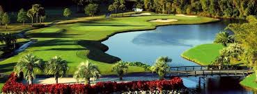 Well, only on this one course. Disney S World Resort Palm Course Profile Course Database