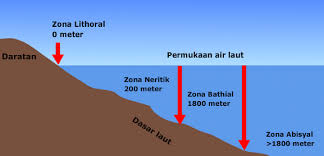 Pada batas laut teritorial ini, negara memiliki kedaulatan penuh seperti halnya di wilayah daratan. Zona Laut Pengertian Jenis Dan Contohnya Secara Lengkap