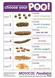 Image Result For Bristol Stool Scale Chart Bristol Stool