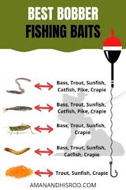 Advantages to using a bobber fishing setup include: How To Use A Fishing Float Bobber For Beginners A Man His Rod