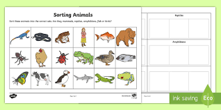 Sorting Animals Into Sets Worksheet Teacher Made