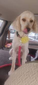 Could some do a happy 5th Birthday picture? Thanks in advance