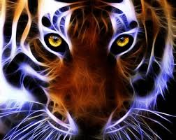 How Do These Big Ferocious Animals Glow كيف تتوهج هذه الحيوانات المفترسة No They Are Photographed Under Ultra Viole Big Cats Art Tiger Art Cat Eye Tattoos