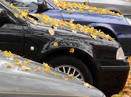 Mineral spirits applied lightly with a soft cloth will break down the sap and remove it but it has the potential of damaging your car's surface. Removing Tree Sap From The Car The Best Home Remedies And Tips