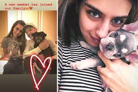 Mesut özil has no regrets about his time at arsenal after completing his move to fenerbahce, finally drawing a line under what he called an amazing journey. Arsenal News Mesut Ozil And Fiancee Amine Gulse Adopt A Puppy In Adorable Instagram Post