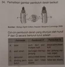 Adapun teks cerita sejarah yang diantaranya yaitu: Inspirasi 12 Fungsi Teks Ulasan Adalah Untuk Brainly Paling Populer