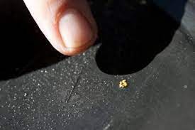 How to find gold with a metal detector? How To Identify Gold Flakes Nuggets Ehow Gold Flakes Gold Prospecting Gold Sluice
