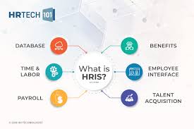 Human resource management (hrm or hr) is the strategic approach to the effective management of people in a company or organization such that they help their business gain a competitive advantage. What Is Hris System Model And Application Hr Technologist