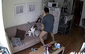 Chinese couple sex.. ip camera | xHamster