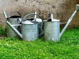In addition, it closes your large open skin pores. When To Use A Watering Can Tips On Using Watering Cans In Gardens