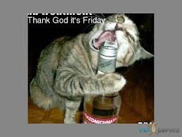 Thank God It S Friday Cartoons Thank God Friday Thank God Its Friday Funny 2 Doblelol Com Funny Animal Photos Cute Funny Animals Funny Animal Pictures