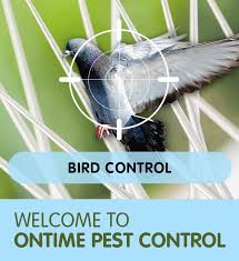Pest control services is a family run pest control business operating in berkshire, hampshire, oxfordshire and wiltshire for the last 25 years from our newbury base. Bird Control Putney Sw15 Throughout South West London