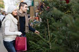 Maybe you would like to learn more about one of these? Best Christmas Tree Stores In New York For Holiday Decorations