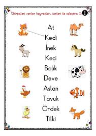 Turuncu Kedi Isimleri