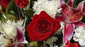 We did not find results for: Condolence And Funeral Flowers Meaning Symbolism And Colors