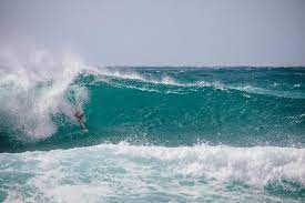 Je commandai un autre thé au garçon qui tenta d'engager une conversation: Le Voyage Initiatique Du Bodysurfeur Arthur Picard A Hawai Prendre La 2e Place Du Pipeline Bodysurf Classic Derriere La Legende Mike Stewart C Etait Impensable Pour Moi