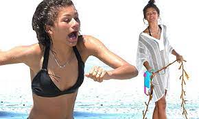 Zendaya enjoys Malibu beach after dropping out of Lifetime's Aaliyah biopic  | Daily Mail Online