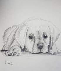 Pin On Art Drawings