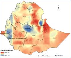 Here's an overview and what to. Covid 19 In Ethiopia A Geospatial Analysis Of Vulnerability To Infection Case Severity And Death Bmj Open