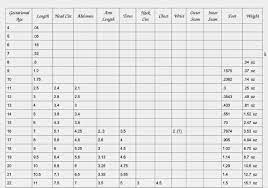 Kaitlin S Angels Gestational Size Chart Premie Baby Angel Baby Crochet Size Chart