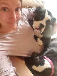 This is my mother in laws dog! He was helping me paint the upper cabinets  today! All the spots I could reach lmao 🤣