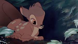 Something that is adorable and makes you feel warm inside. Cute Aggression Adorableness Overload Can Lead To Violent Urges Shots Health News Npr