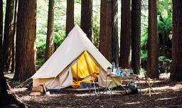 NC Coffee Cup Campers – Meadows of Dan Campground