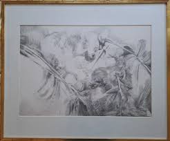 Bildergebnis für Roel D'Haese