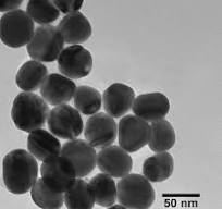 50 nm Silver Nanospheres - nanoComposix